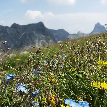 Christina Brand (Vorarlberg)